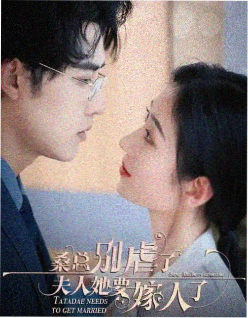 浪潮之上都市剧在线观看