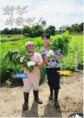 周末不打烊综艺在线观看